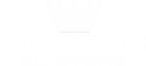 BIGBANG STORE EU light logo